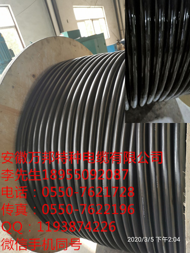 JKWYJGFP 4*10+4*2.5  垃圾車電纜，耐磨，耐溫，抗拉耐腐蝕。
