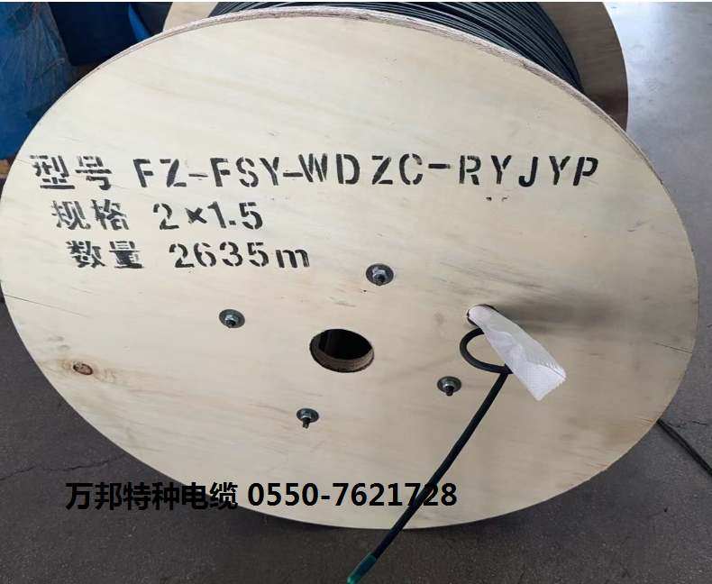 FZ-FSY-WDZC-RYJYP